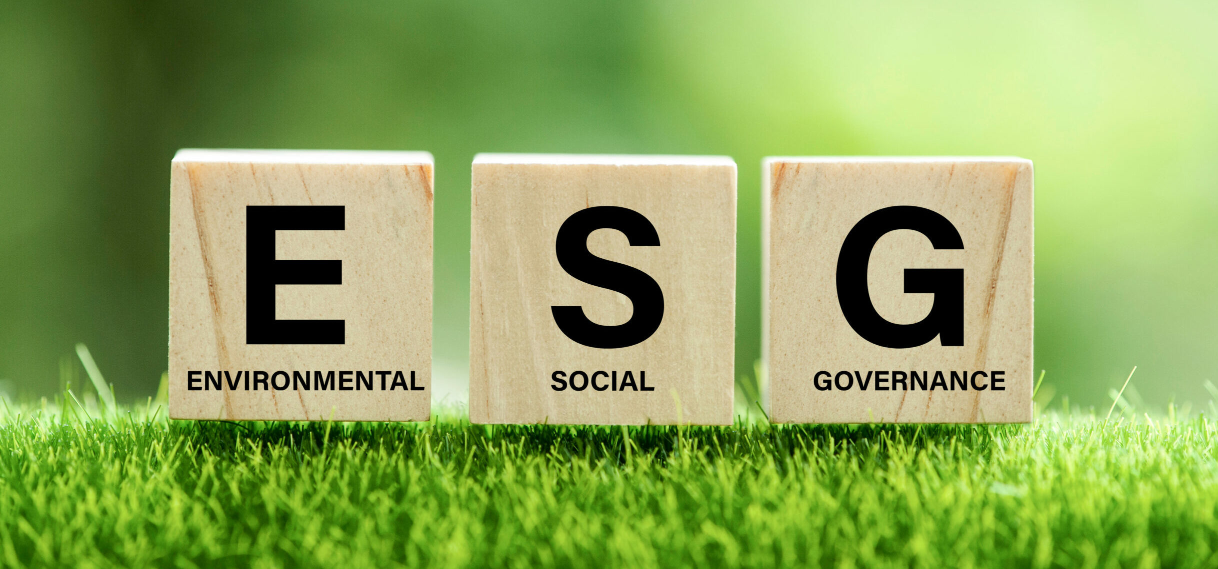 ESG (Källa: Shutterstock)