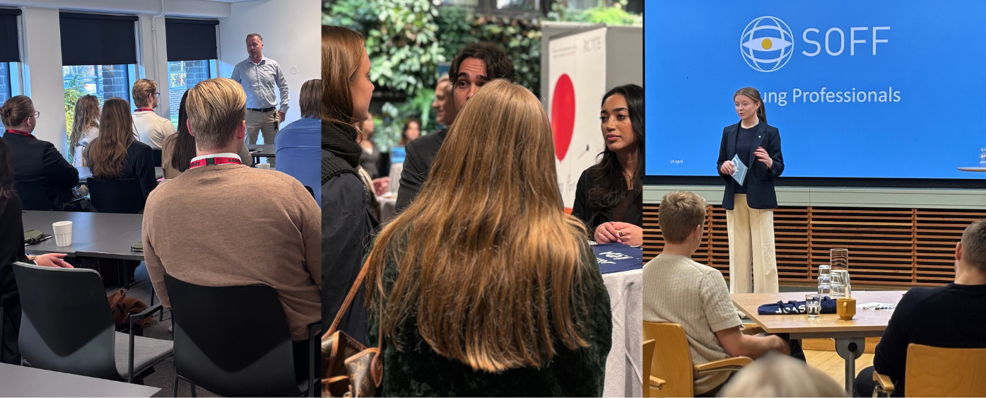 Young Professionals Nätverk